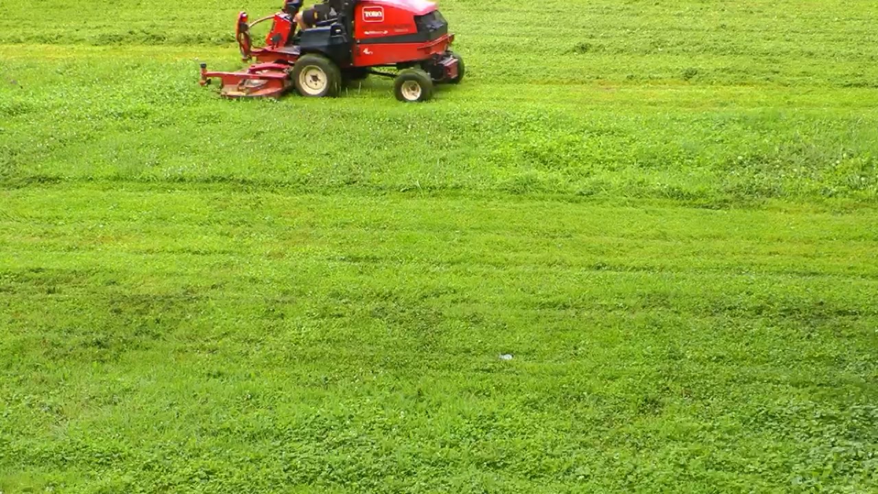 Corte de grama en un césped verde